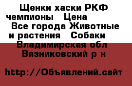 Щенки хаски РКФ чемпионы › Цена ­ 90 000 - Все города Животные и растения » Собаки   . Владимирская обл.,Вязниковский р-н